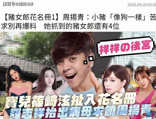 崽崽娱乐圈吃瓜小说